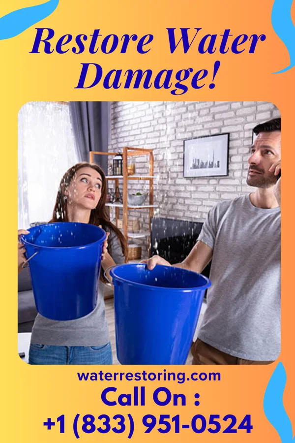 water restoration Eco Sewage Cleanup Partners Petros